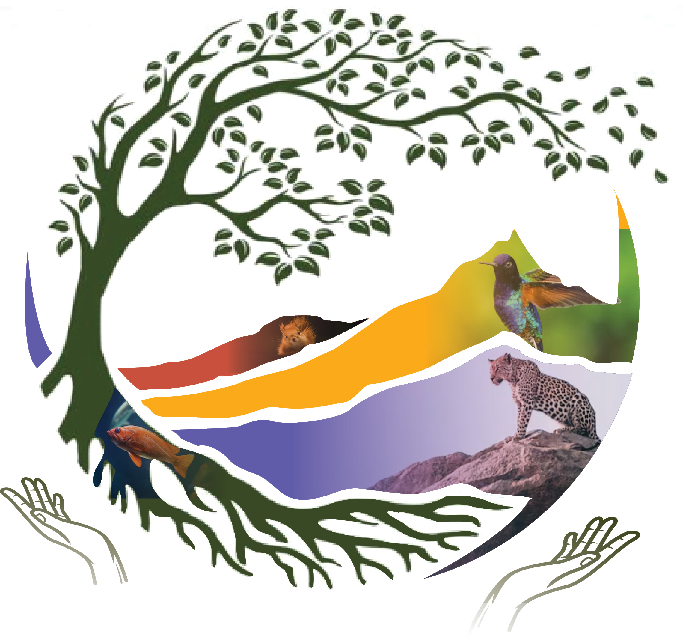Regeneration Forum logo